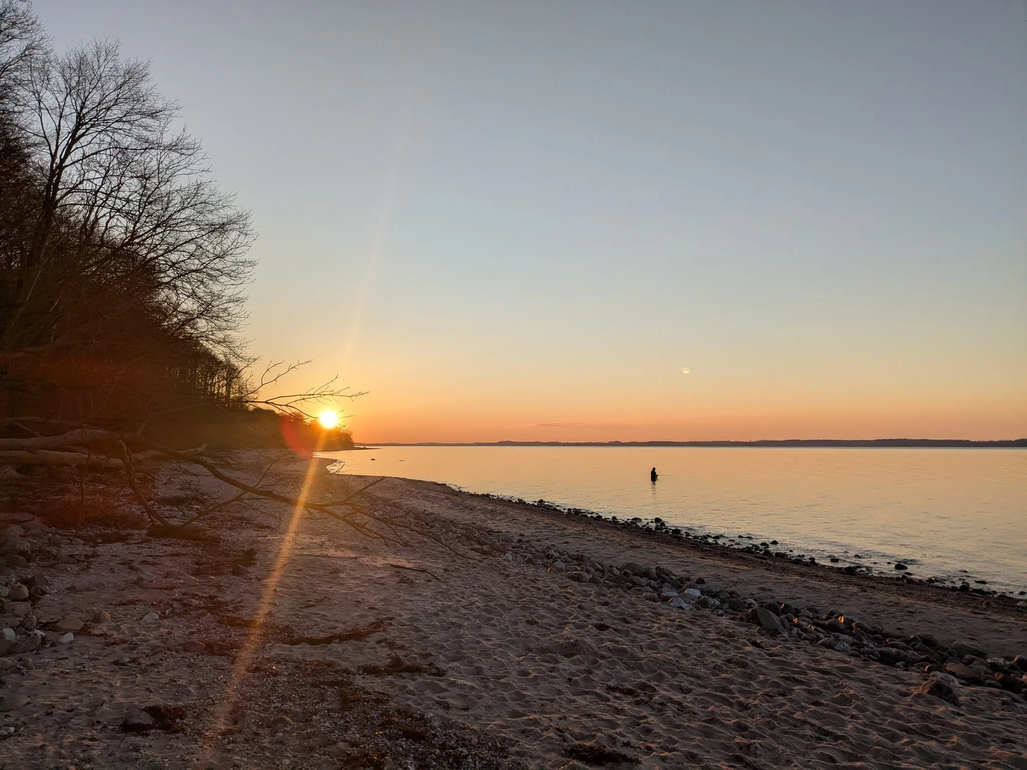 Sonnenuntergang am Sandstrand mit ruhigem Wasser, kahlen Bäumen und Silhouette einer Person im Wasser