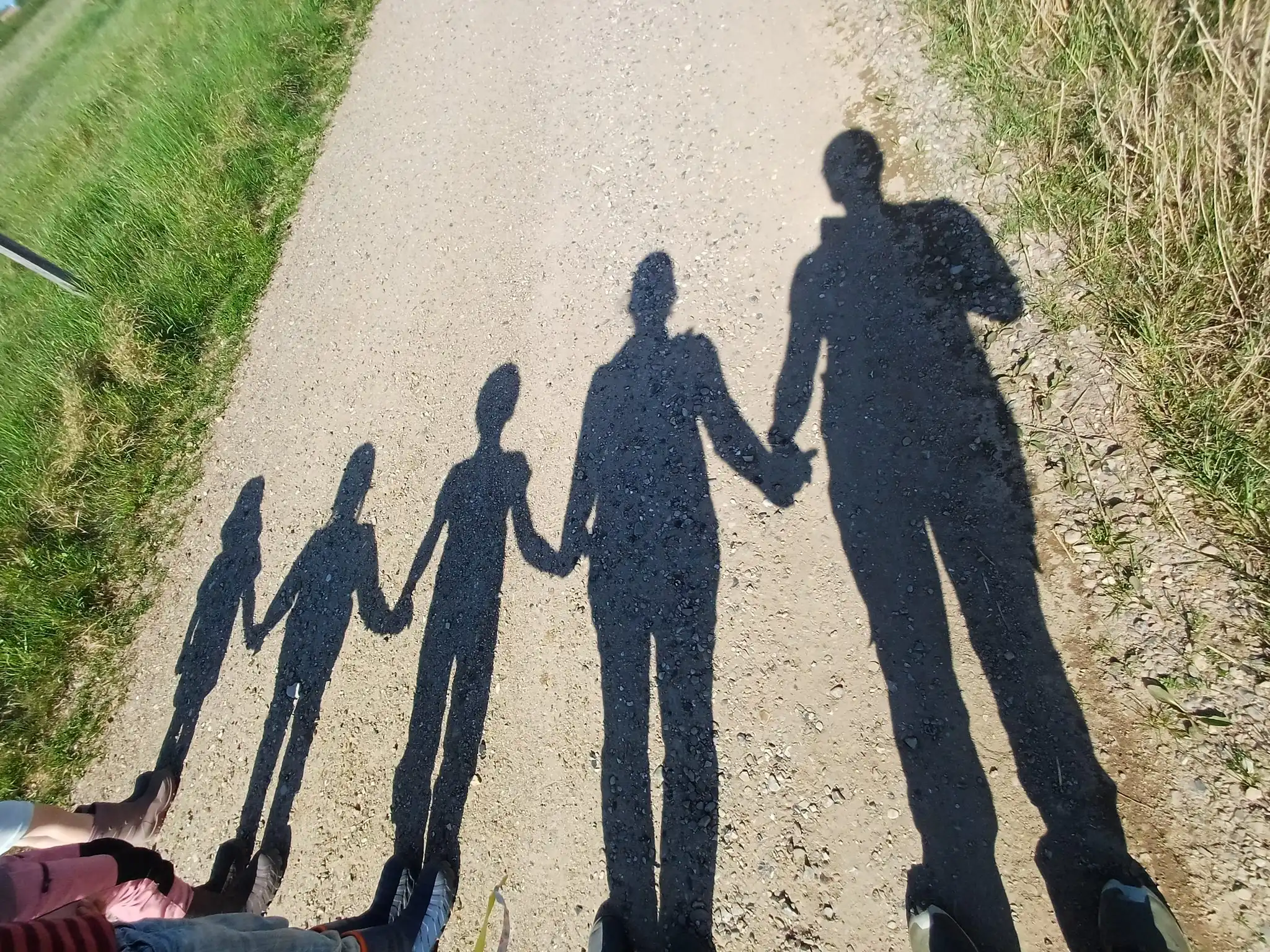 Schatten einer Familie mit Kindern auf einem Schotterweg – gemeinsamer Spaziergang in der Natur