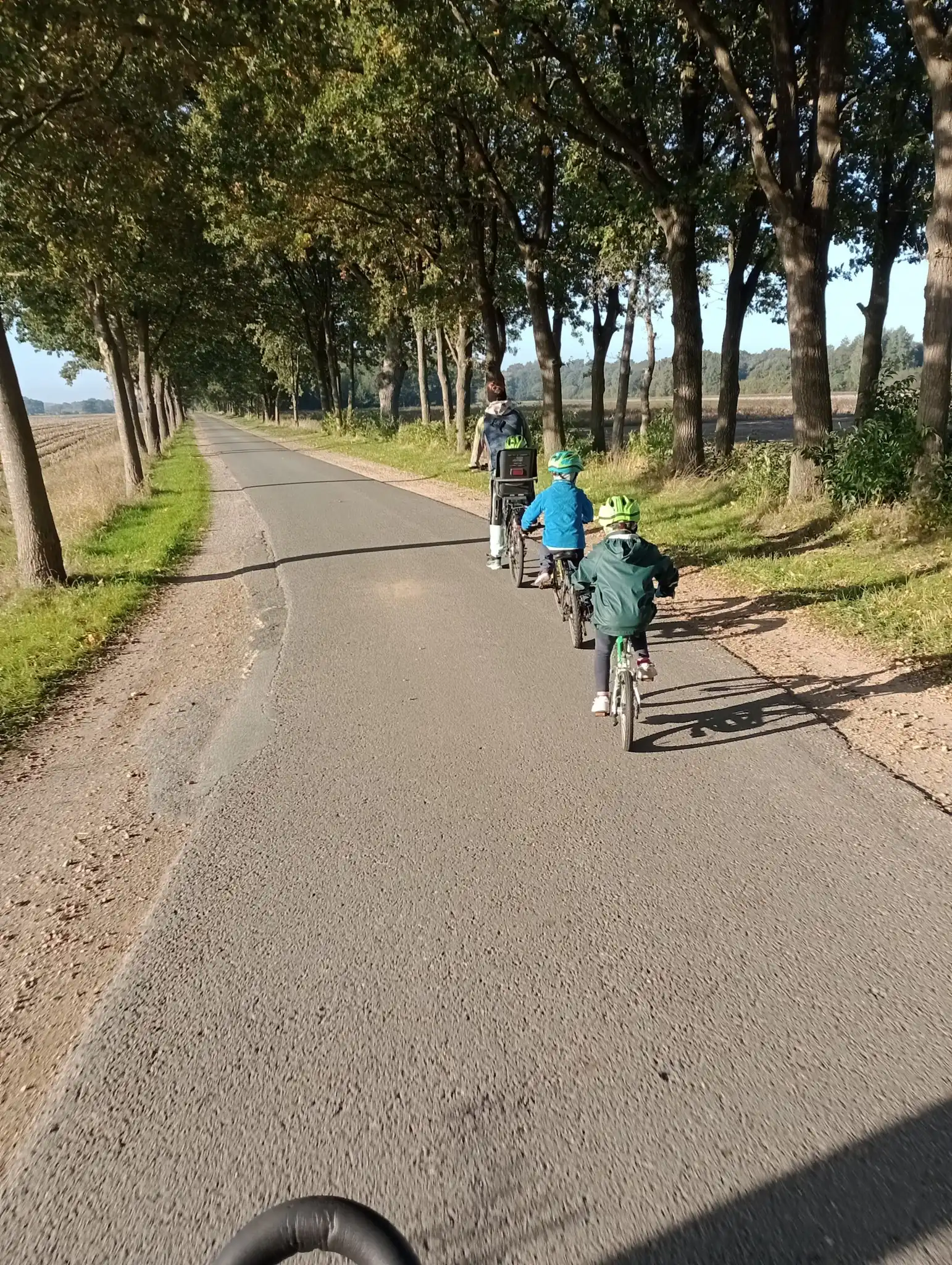 Familie mit Kindern fährt Fahrrad auf einer Allee durch flache Landschaft