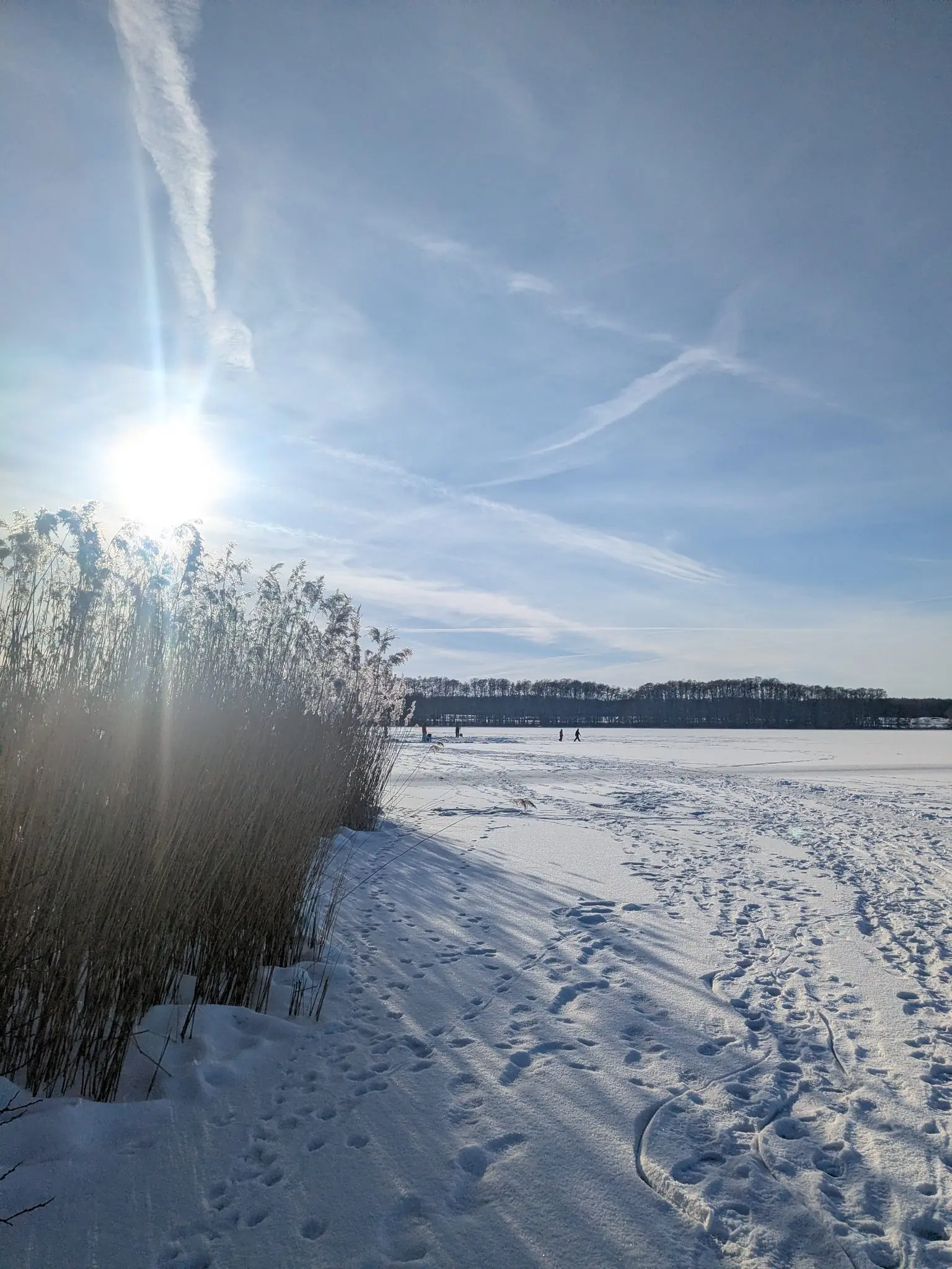 Zugefrorener See im Winter mit Schilf, Fußspuren im Schnee und Spaziergängern in der Ferne
